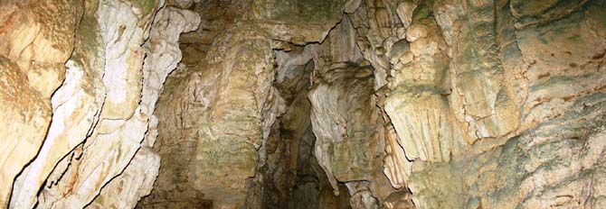 Explore Andaman-Andaman Beach Travels