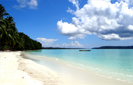 Magical Andaman : 5 Night/ 6 Days-Andaman Beach Travels