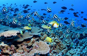 Fisheries Museum-Andaman Beach Travels